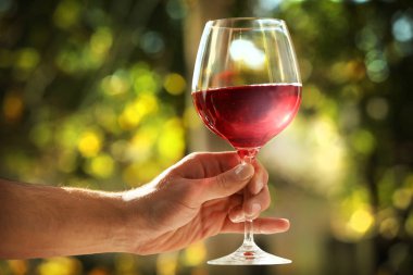 Erkek el cam şarap ile tutarak