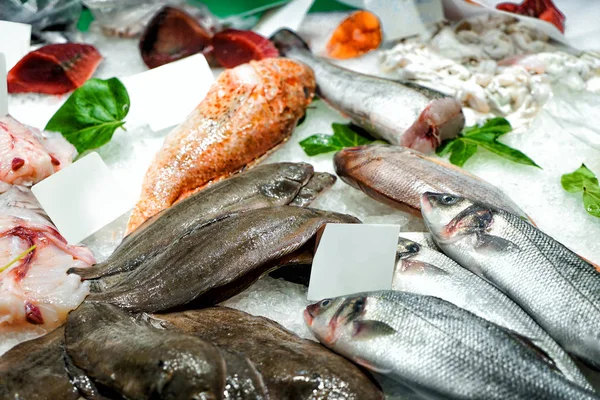 Fresh seafood at market — Stock Photo, Image