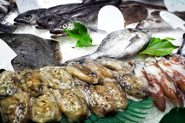 Fresh seafood at market — Stock Photo, Image