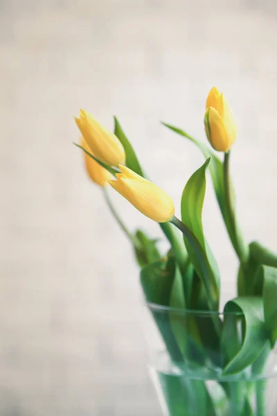Bouquet di bellissimi tulipani — Foto Stock