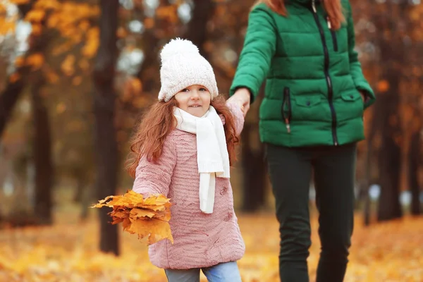 Meisje met moeder in de herfst park — Stockfoto