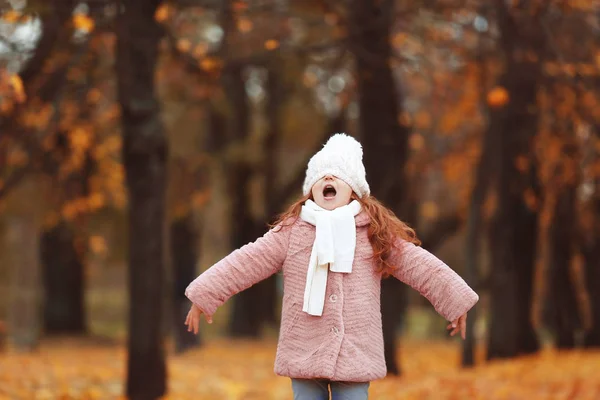 Chica en el parque de otoño — Foto de Stock