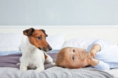 komik köpek olan küçük çocuk