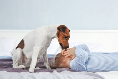 komik köpek olan küçük çocuk