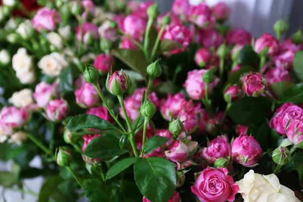Rosas frescas en tienda de flores — Foto de Stock