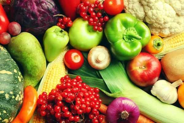 Autumn fruits and vegetables — Stock Photo, Image
