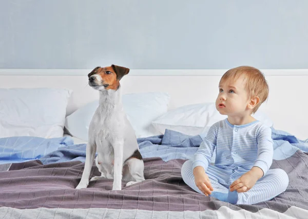 Jongetje met grappige hond — Stockfoto