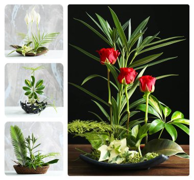 Yaratıcı çiçek kompozisyonlar