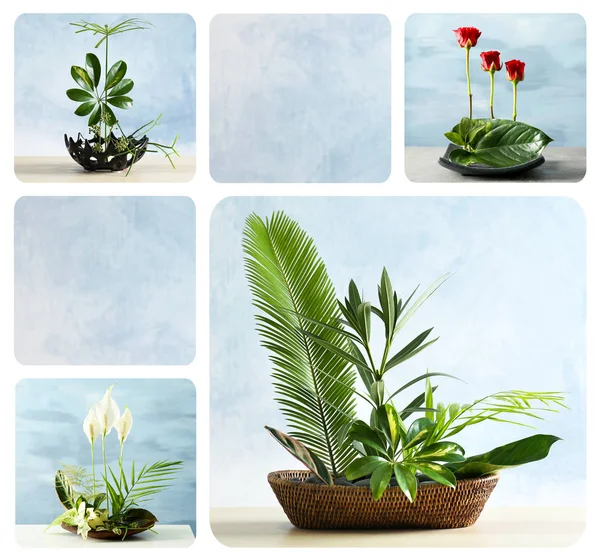 Yaratıcı çiçek kompozisyonlar