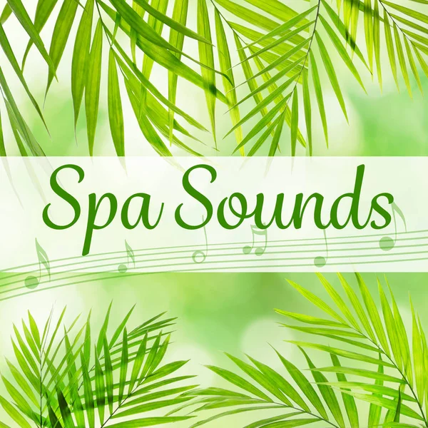 palmiye yaprakları ile kapak 