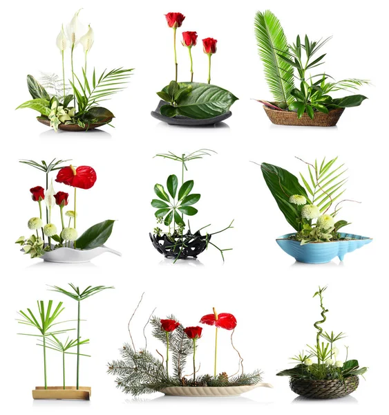 Yaratıcı çiçek kompozisyonlar