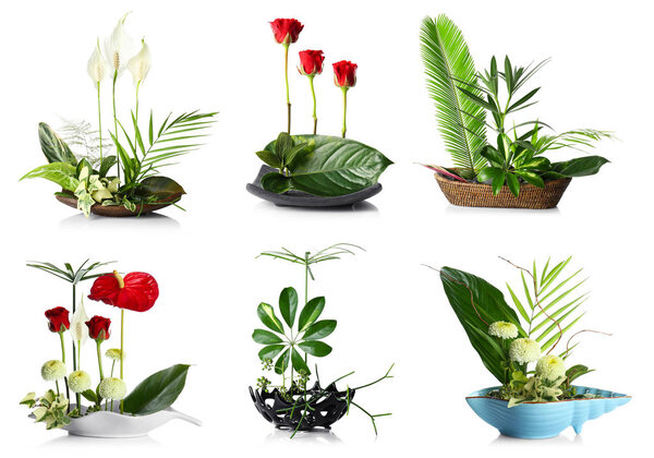 Creative floral compositions