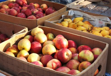 Karton kutular içinde taze meyve 