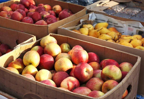 Karton kutular içinde taze meyve 