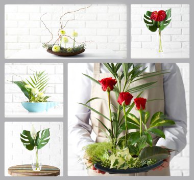 Yaratıcı çiçek kompozisyonlar