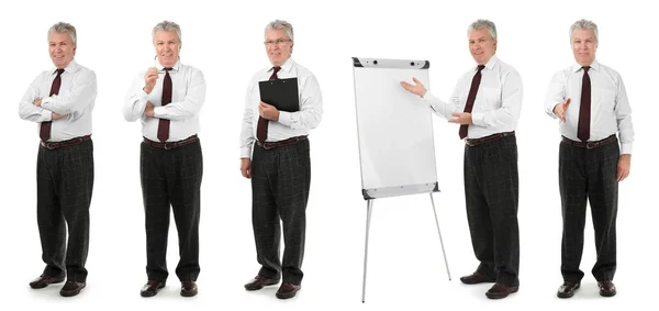 Collage Business Trainer White Background — Stock Photo, Image