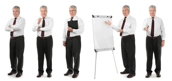 Collage Eines Business Trainers Auf Weißem Hintergrund — Stockfoto