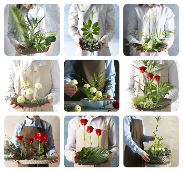 Creative floral compositions — Stock Photo, Image