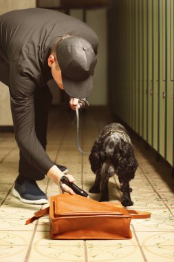 Uyuşturucu arayan köpek.