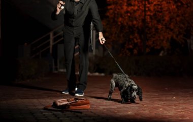 Uyuşturucu arayan köpek.