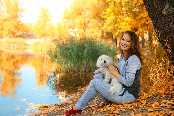 公園でかわいい犬と一緒に歩いている女性 — ストック写真