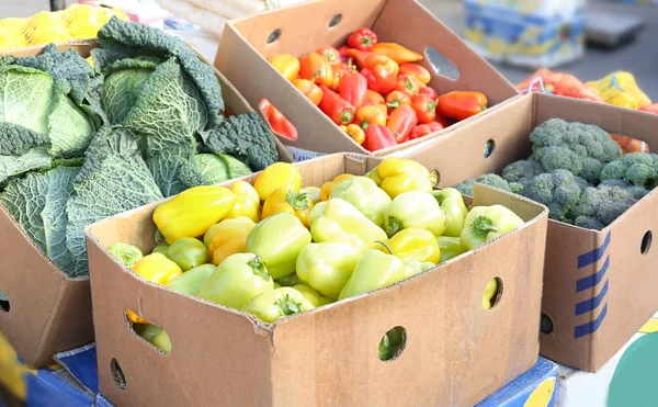 Verdure fresche in scatole di cartone — Foto Stock