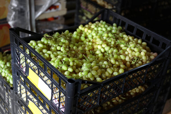 Fresh grapes in plastic crate on market
