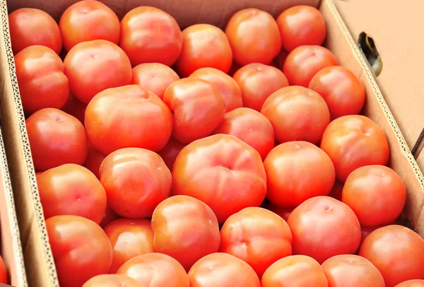 Вкусные помидоры в картонной коробке на рынке — стоковое фото