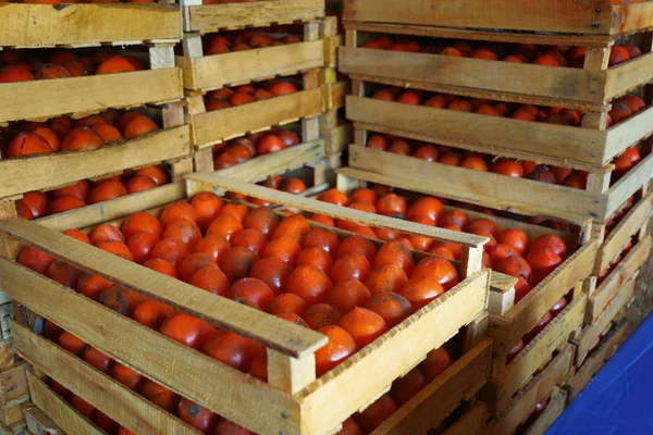 Wooden crates with tasty persimmons — Stock Photo, Image
