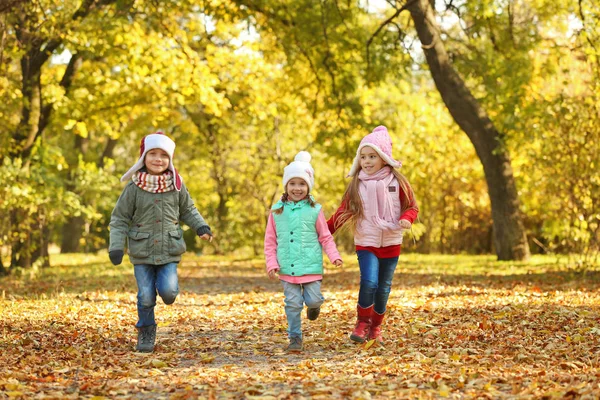 Sekelompok Anak Anak Bahagia Beristirahat Taman Musim Gugur Yang Indah — Stok Foto