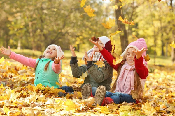 Ομάδα Ευτυχισμένα Παιδιά Αναπαύεται Στο Όμορφο Πάρκο Φθινόπωρο — Φωτογραφία Αρχείου