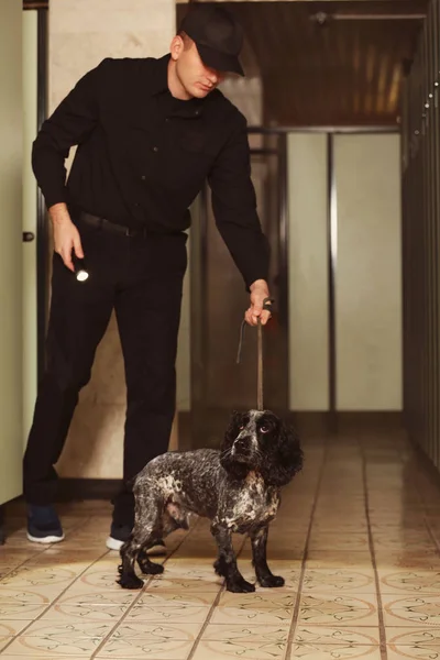 Cão à procura de drogas — Fotografia de Stock