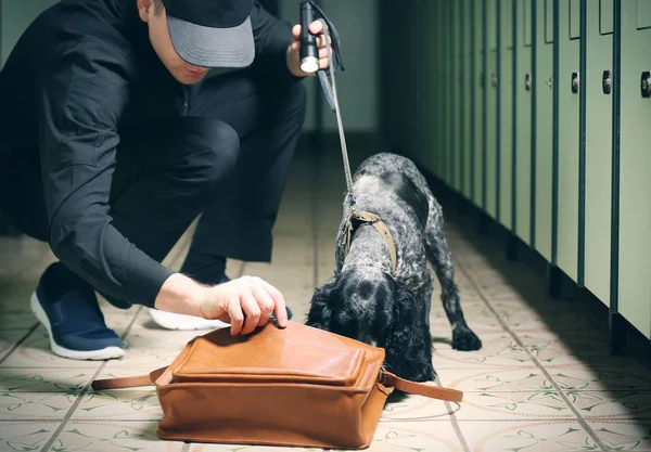 Cão à procura de drogas — Fotografia de Stock