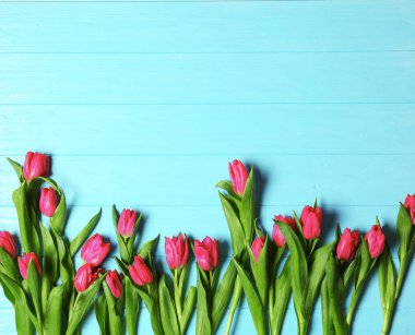 pembe güzel laleler