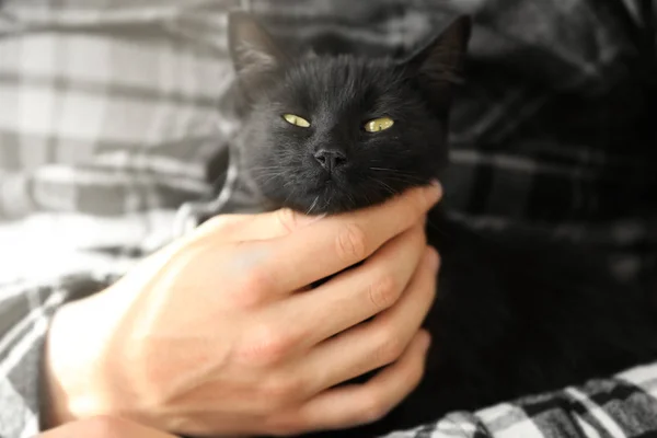 Süße schwarze Katze — Stockfoto
