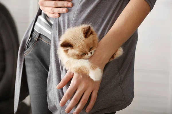 Cute little kitten — Stock Photo, Image