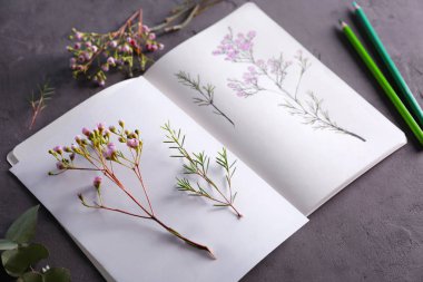 Bitkiler ve sketchbook çizimleri ile 