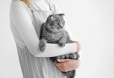 Sahibi holding şirin komik kedi