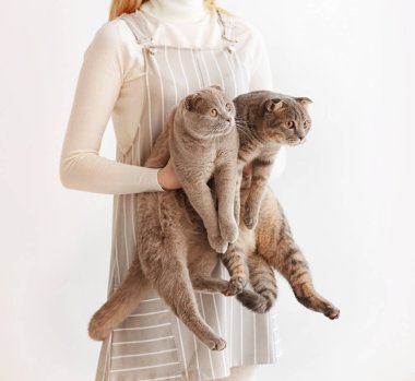 Sahibi ile sevimli komik kediler 