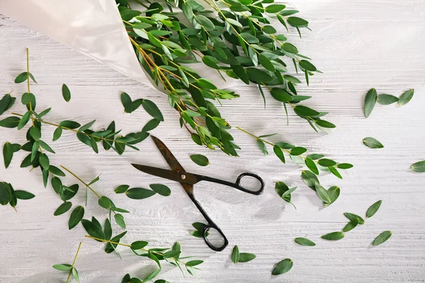 Nożyczki i Eukaliptus zielony oddziałów — Zdjęcie stockowe