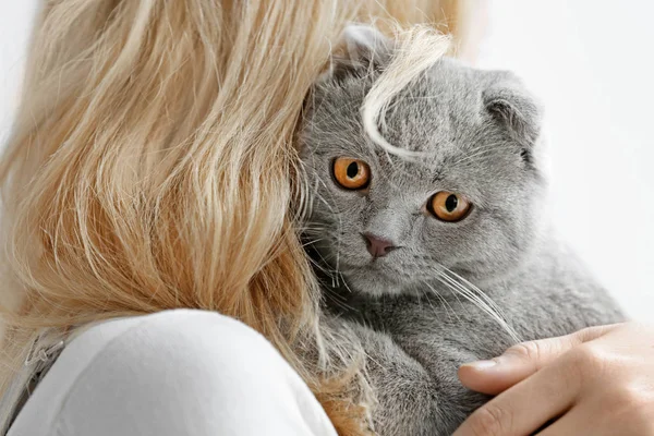 Cute cat with owner — Stock Photo, Image