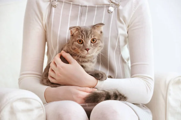 Schattige kat met eigenaar — Stockfoto