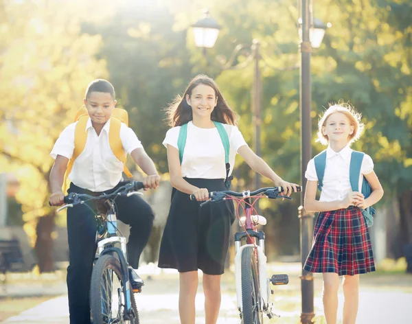 Adolescenti con biciclette a piedi — Foto Stock