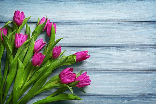 Púrpura hermosos tulipanes — Foto de Stock
