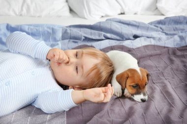 Çocuk komik köpek yavrusu