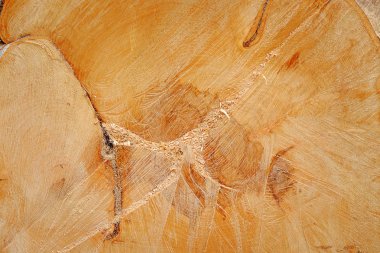 Yuvarlak ahşap doku