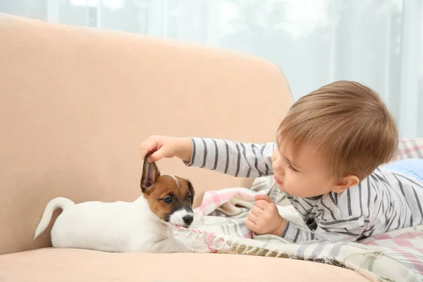 Schattige jongen met puppy — Stockfoto