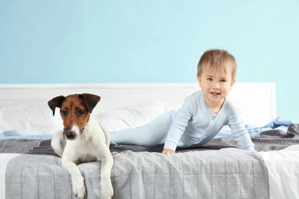 Jongetje met grappige hond — Stockfoto