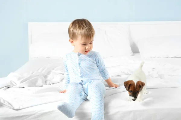 Menino com cachorro engraçado — Fotografia de Stock