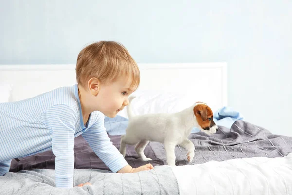 Boy with funny puppy — Stock Photo, Image